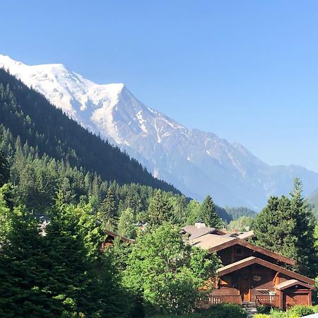 Residence La Verte 24- Aux Pieds Des Pistes! 霞慕尼 外观 照片