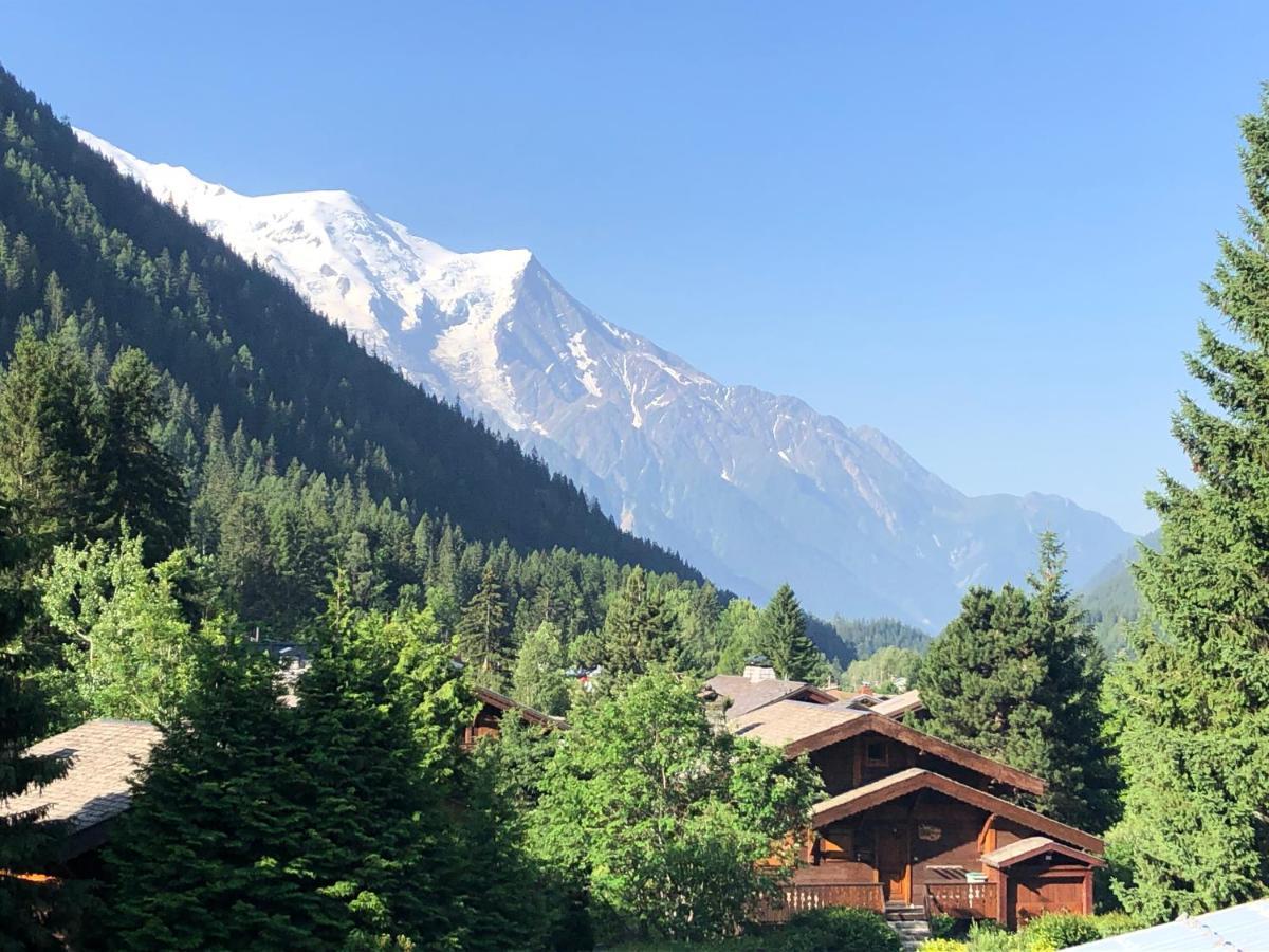 Residence La Verte 24- Aux Pieds Des Pistes! 霞慕尼 外观 照片